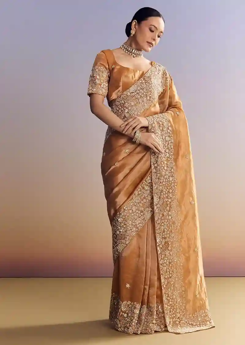 Imperial Gold-Orange Tissue Saree with Heavy Embroidered Border – Elite Trade & Trend Edition - Image 2