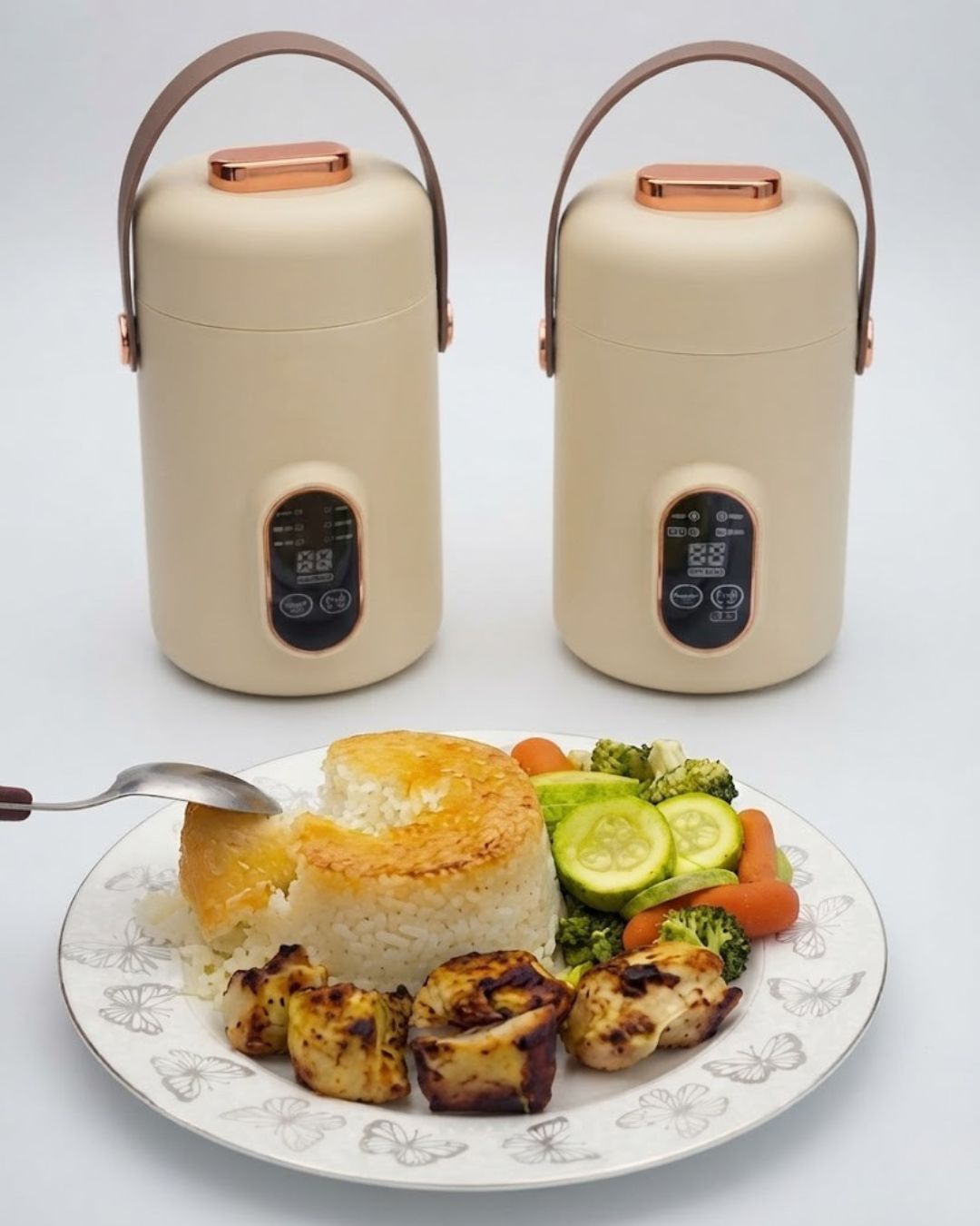 Portable Electric Multi-Cooker & Lunch Box