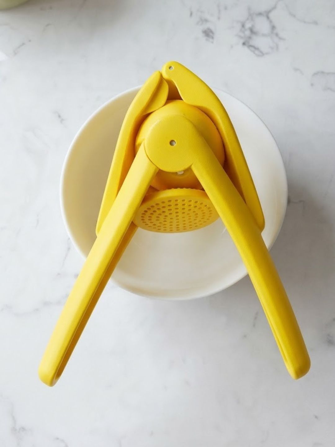 Dual-Action Manual Lemon & Citrus Juicer Press