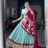 Vibrant Contrast Border Ethnic Lehenga Choli Suit